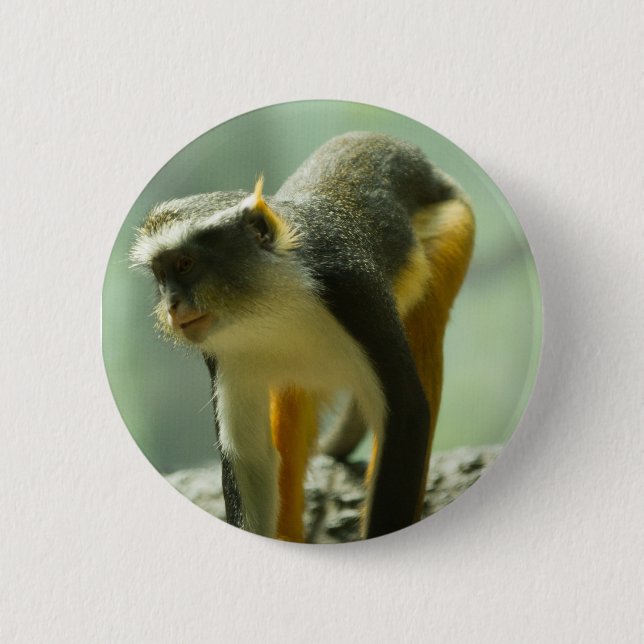 Monkey Pinback Button (Front)