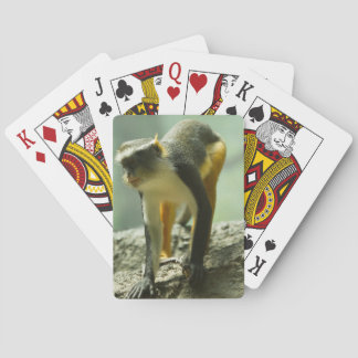 Monkey Poker Cards
