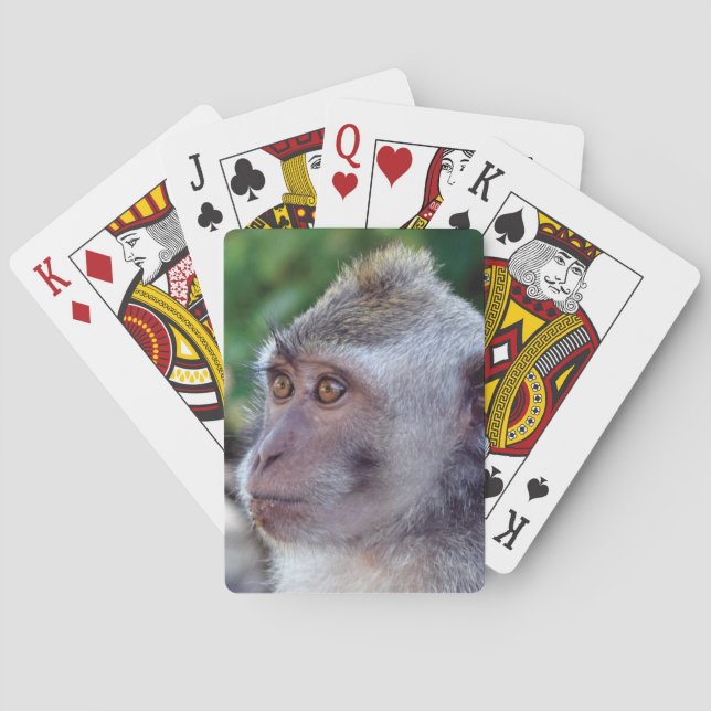 Monkey Poker Cards (Back)