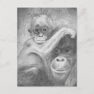 Monkey Postcard