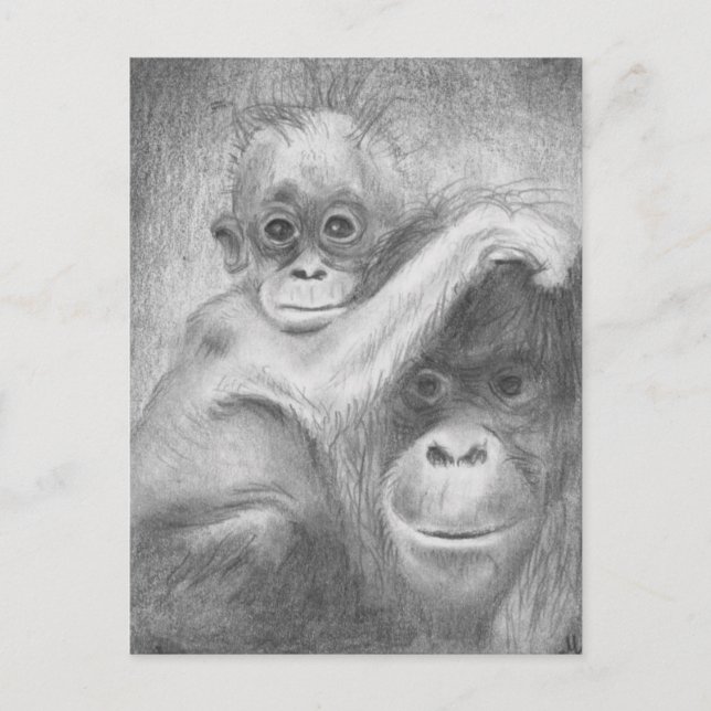 Monkey Postcard (Front)