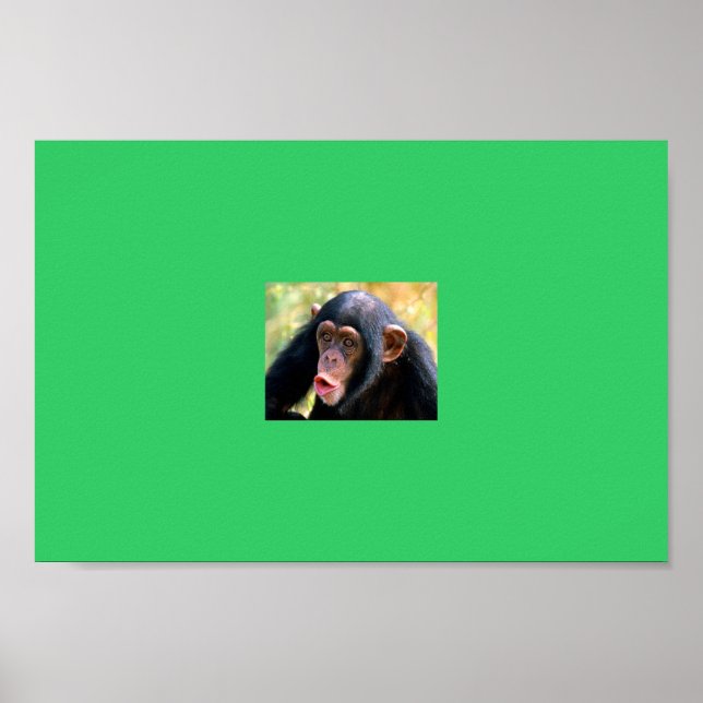 monkey poster (Front)