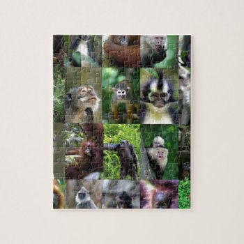 Monkey Primate Montage Jigsaw Puzzle by PKphotos at Zazzle