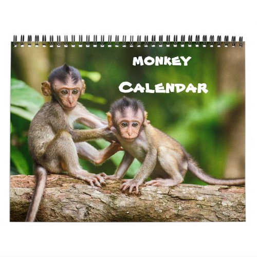 Monkey Primate Vine Welcome Home Destiny DestinyS Calendar