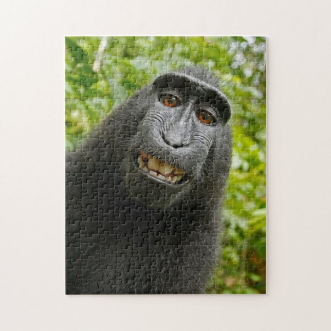 monkey puzzle (Vertical)