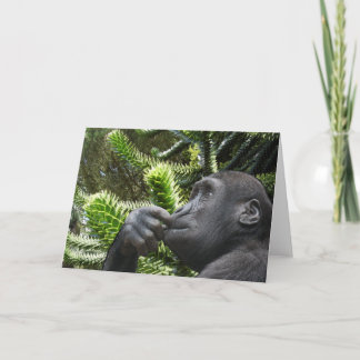 Monkey Puzzle. Card