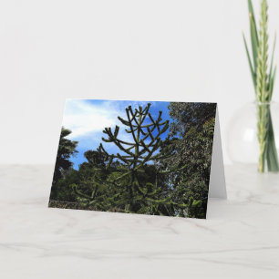 Monkey Puzzle Tree #1 Card