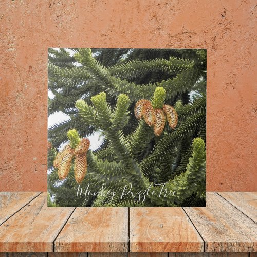 Monkey Puzzle Tree Botanical Ceramic Tile