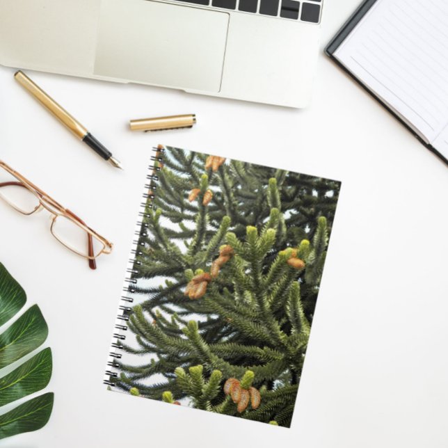 Monkey Puzzle Tree Botanical Photo Notebook (In Situ)