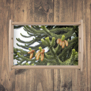 Monkey Puzzle Tree Botanical Photo Serving Tray