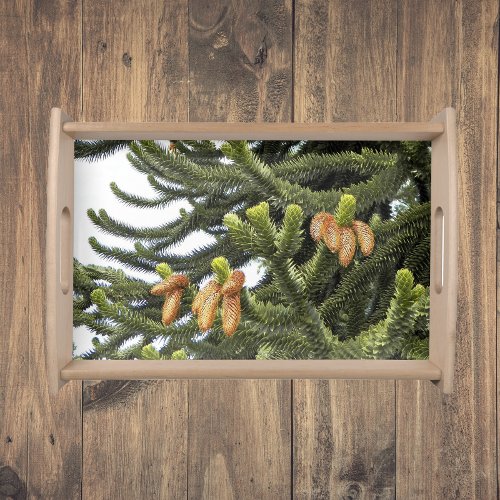 Monkey Puzzle Tree Botanical Photo Serving Tray