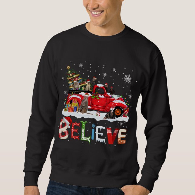 Monkey Riding Red Truck Christmas Tree Believe San Sweatshirt (Front)