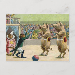 Monkey Ringmaster and Circus Pigs Postcard