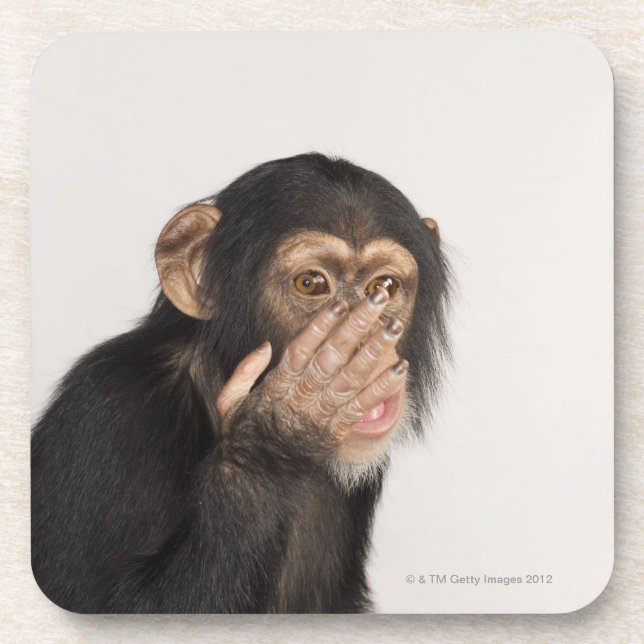 Monkey rubbing its face beverage coaster (Front)