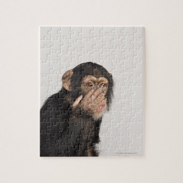 Monkey rubbing its face jigsaw puzzle (Vertical)