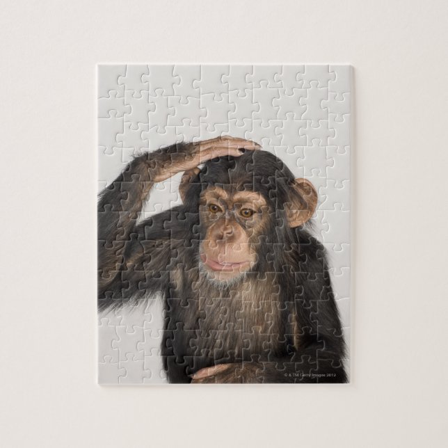 Monkey scratching its head jigsaw puzzle (Vertical)