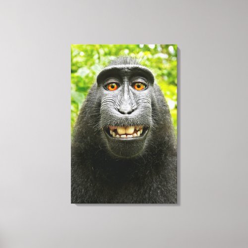 Monkey Selfie Canvas Print