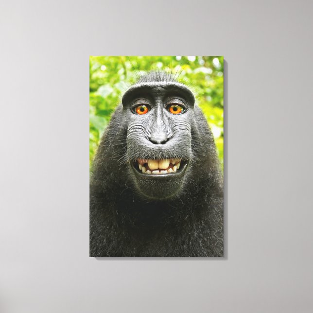 Monkey Selfie Canvas Print (Front)