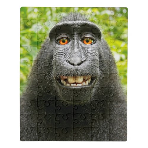Monkey Selfie Jigsaw Puzzle
