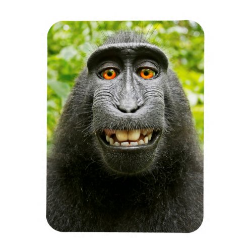 Monkey Selfie Magnet