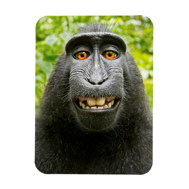 Monkey Selfie Magnet (Vertical)