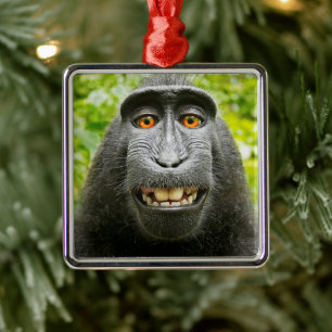 Monkey Selfie Metal Ornament