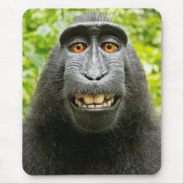 Monkey Selfie Mouse Pad