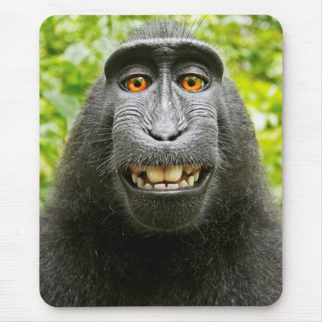 Monkey Selfie Mouse Pad (Front)