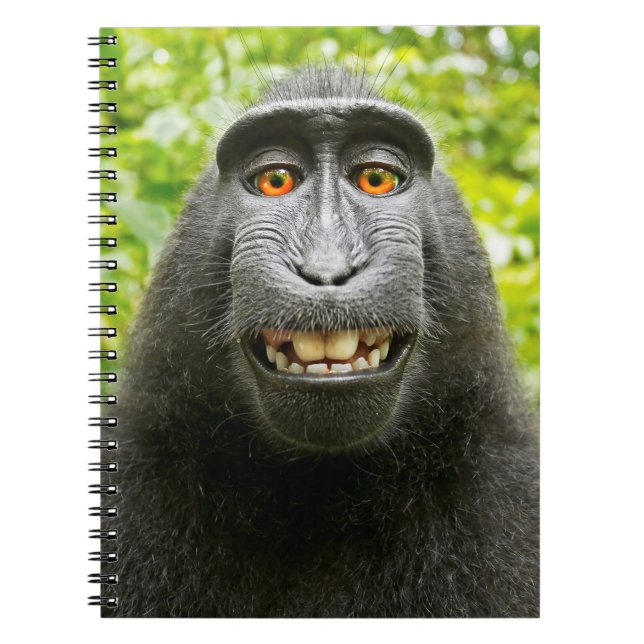 Monkey Selfie Notebook (Front)