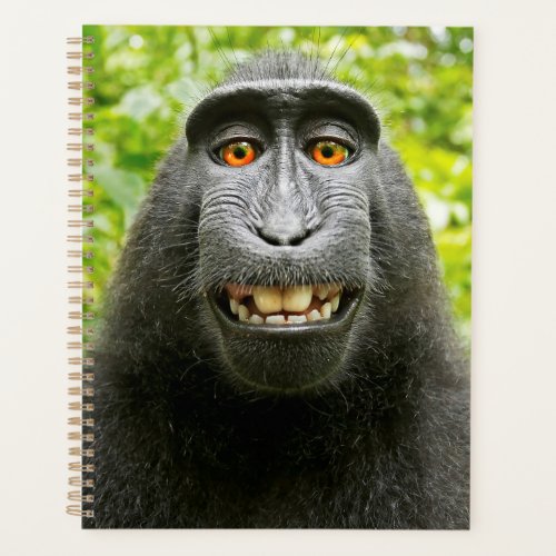 Monkey Selfie Planner