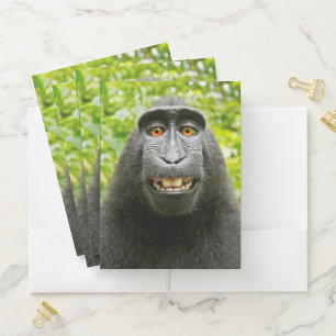 Monkey Selfie Pocket Folder