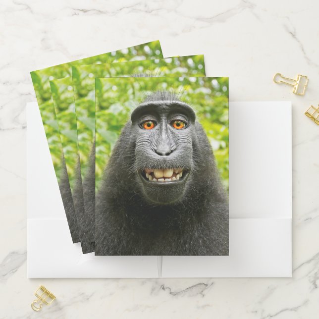 Monkey Selfie Pocket Folder (In Situ)