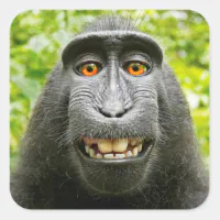 Monkey Selfie Square Sticker