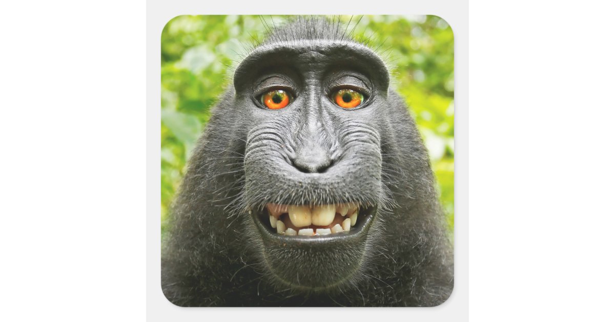 Monkey Selfie Square Sticker