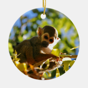Monkey Shines Ceramic Ornament