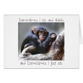 Monkey Sits (Front Horizontal)