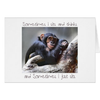 Monkey Sits Cards