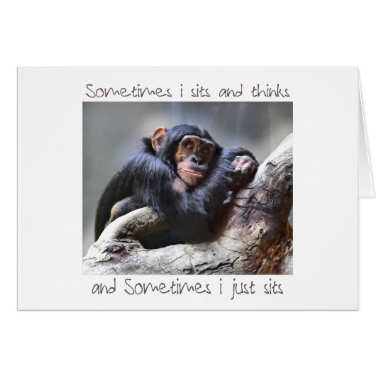 Monkey Sits Cards (Front Horizontal)