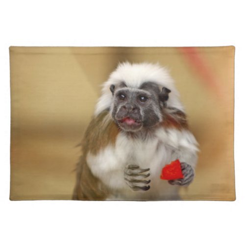 Monkey tamarin cotton top beautiful photo placemat