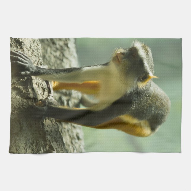 Monkey Towel (Horizontal)