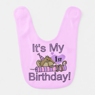 Monkey With Candle 1st Birthday Bib