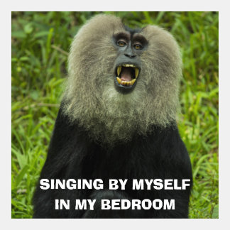 Monkey with open mouth meme