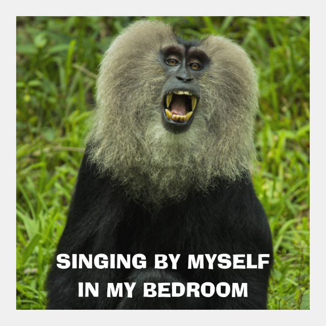 Monkey with open mouth meme (Front)