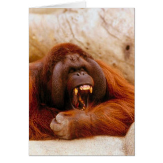 Monkey yelling cards