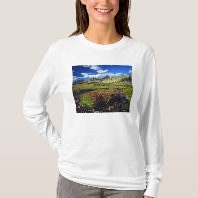Monkeyflowers at Logan Pass in Glacier National T-Shirt (Front)