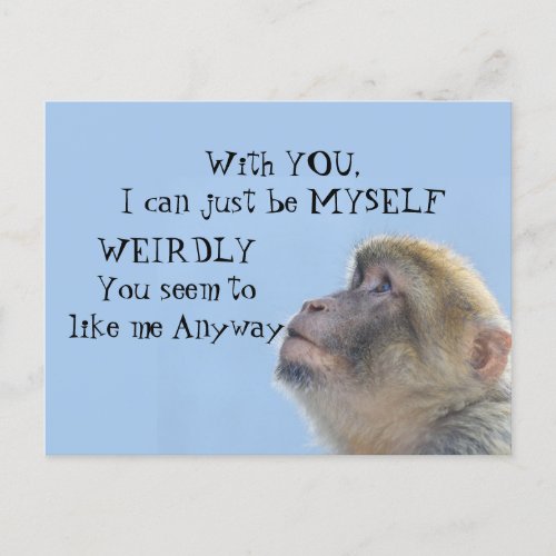 Monkeying Around Greeting  Postcard