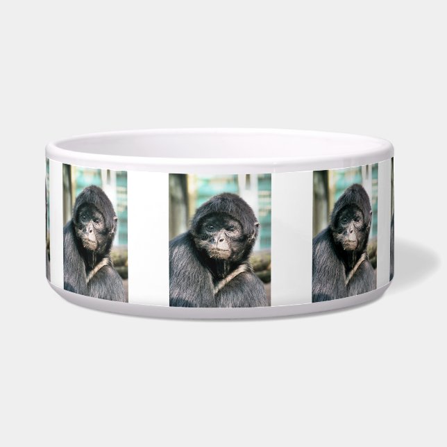 MONKEYS BOWL (Front)