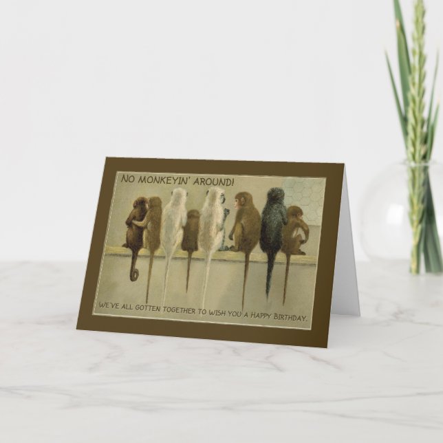 Monkeys Business Birthday From Group, Humor Card (Front)