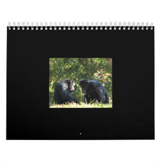 monkeys calendar