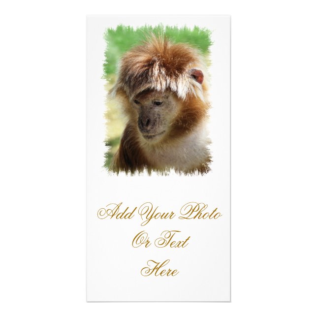 MONKEYS CARD (Front)